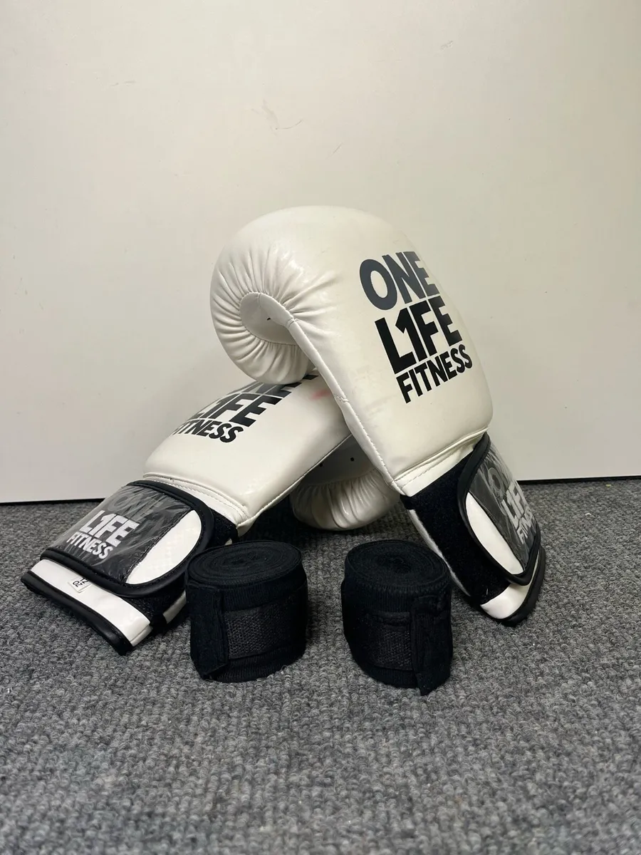 One Life 12oz Boxing Gloves - Image 1