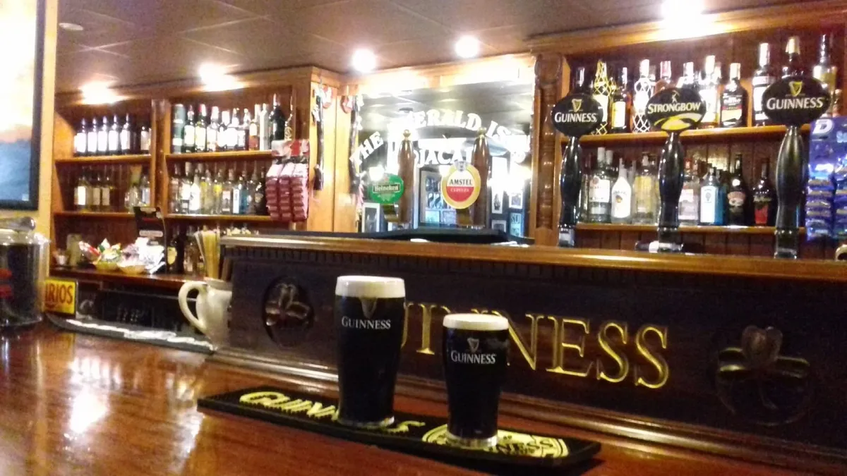 Irish Pub for Sale in Spain - Image 3