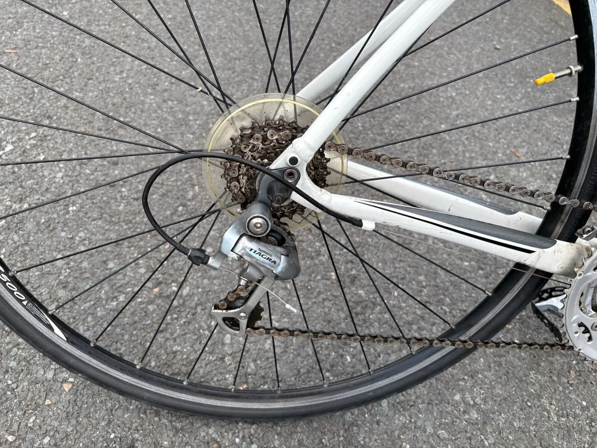 Specialized Allez road bike - Image 2