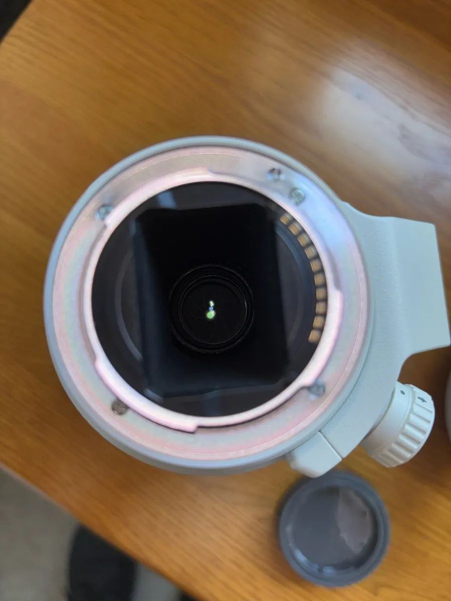 Sony FE4/ 70-200mm G OSS, Peak Design Strap - Image 2