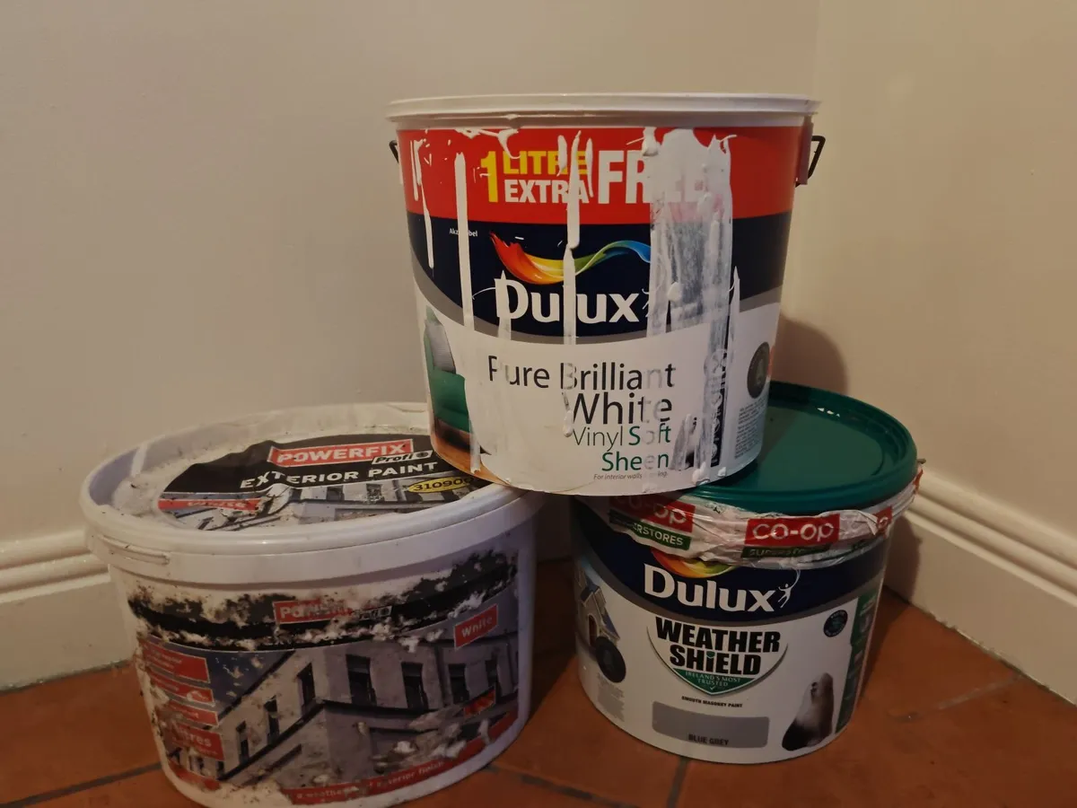 Outdoor and indoor paint - Image 1