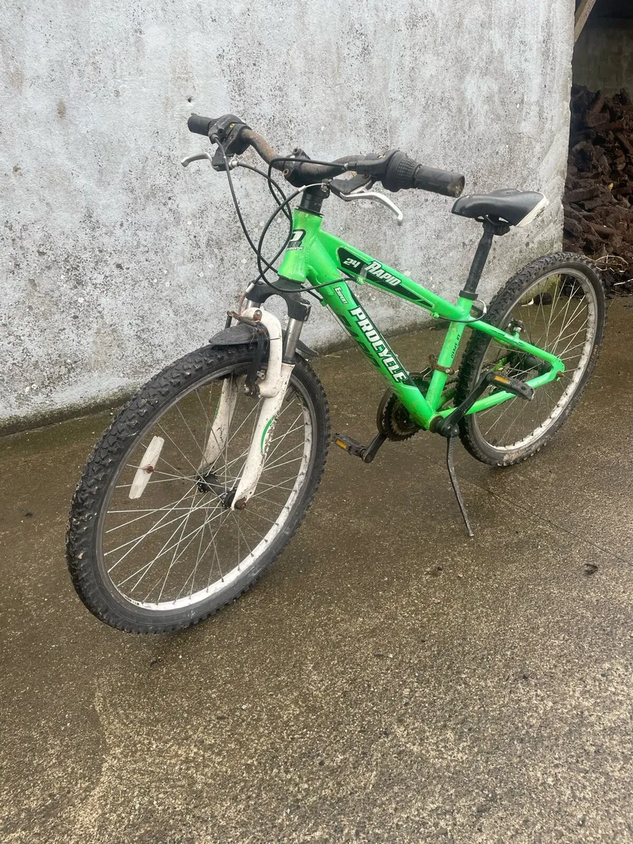 Bicycle - Image 1
