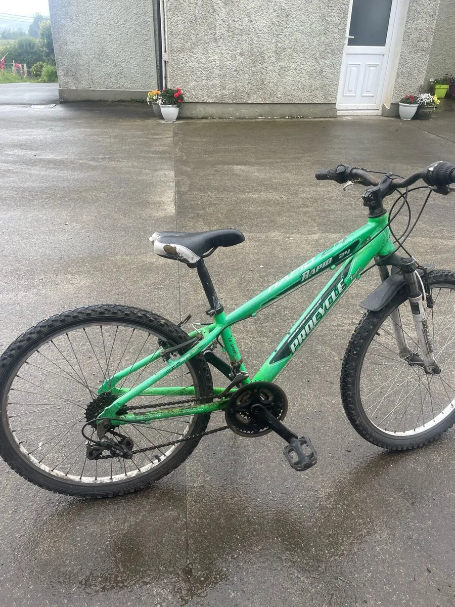 Bicycle - Image 3