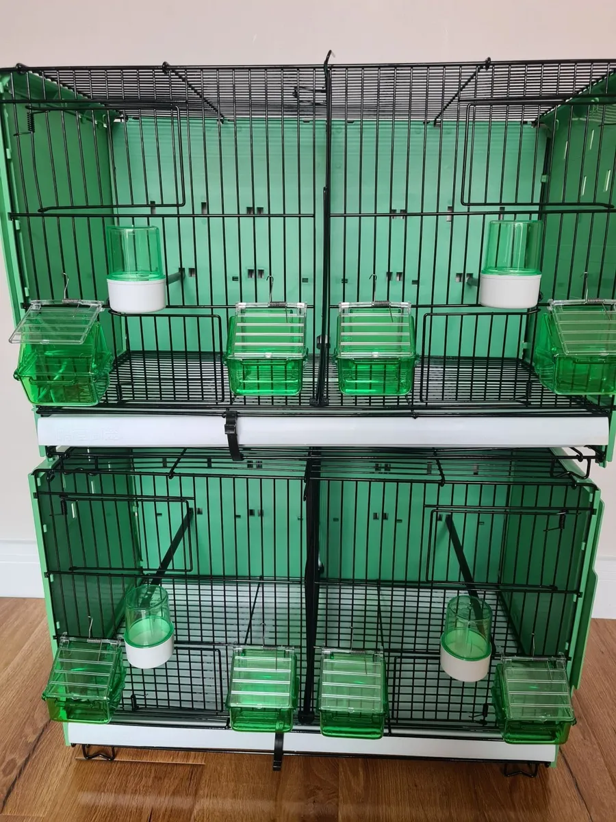 Bird cages - Image 1