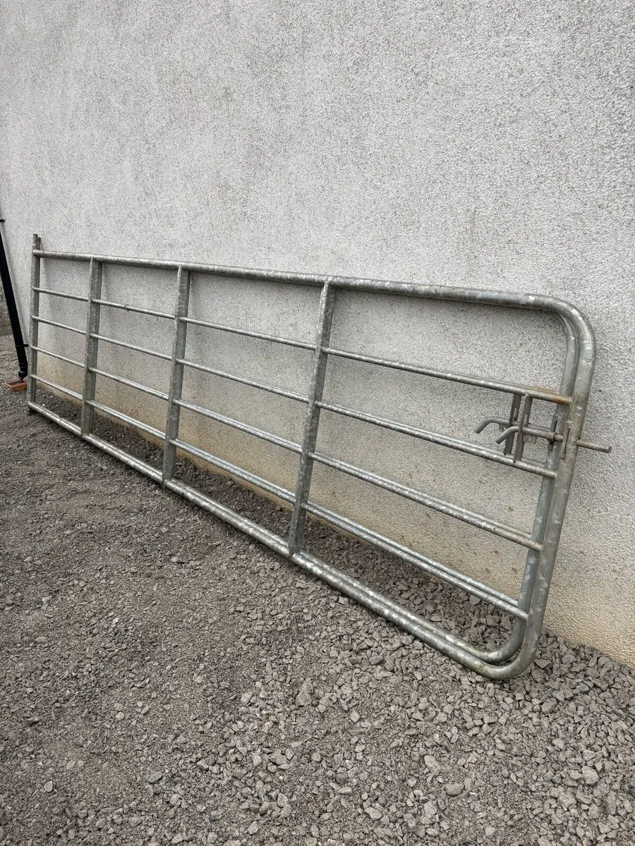 Gates/Gate posts - Image 2
