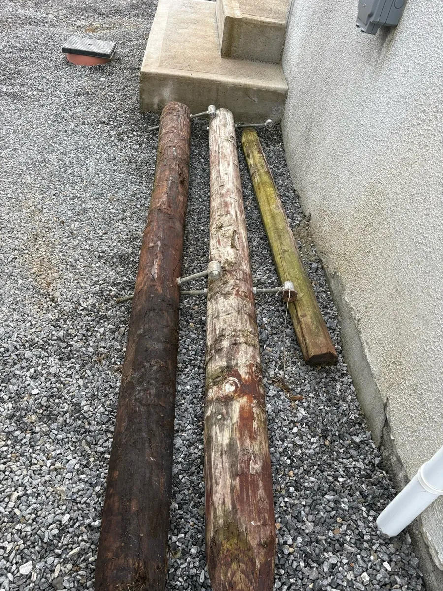 Gates/Gate posts - Image 1