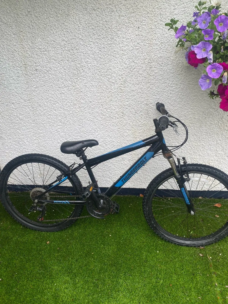 Bike - Image 1
