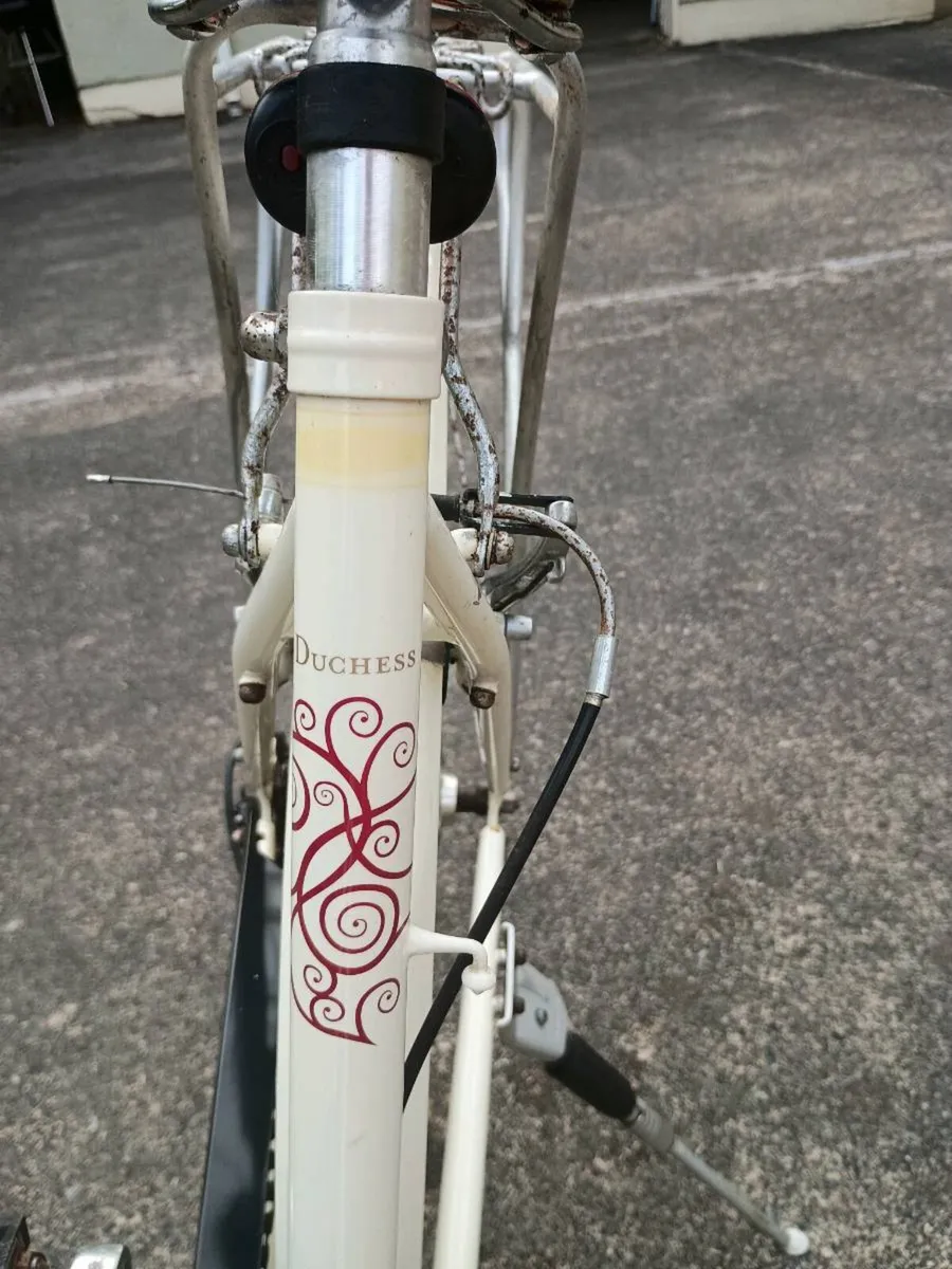 Ladies Bicycle - Image 3