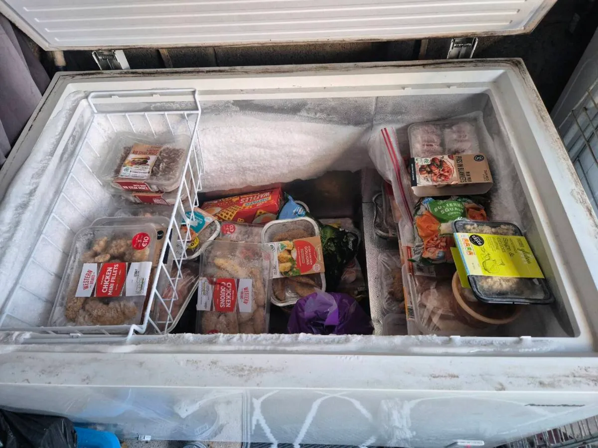 Large fridge freezer and 10 foot swimming pool - Image 2