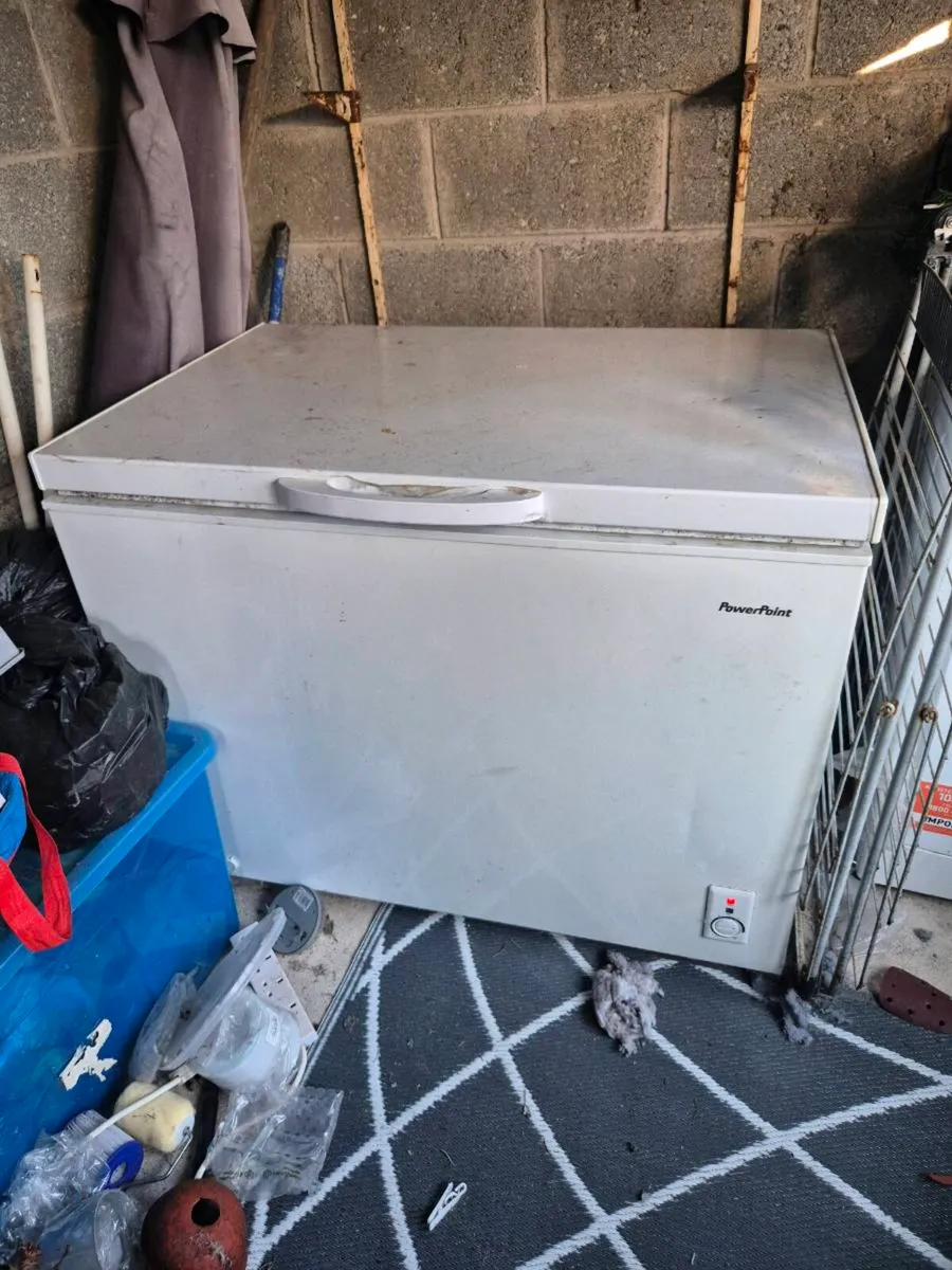 Large fridge freezer and 10 foot swimming pool - Image 1