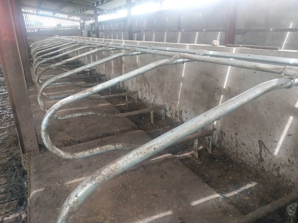 Cubicles - Image 1