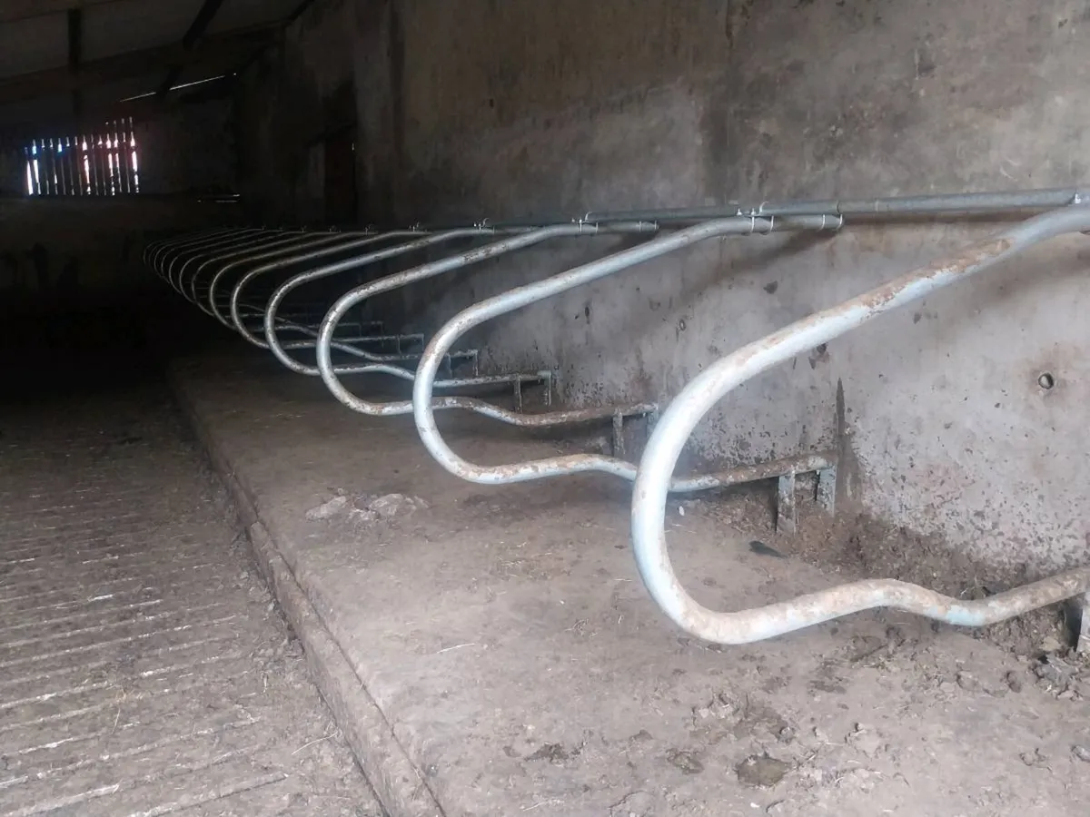 Cubicles - Image 2
