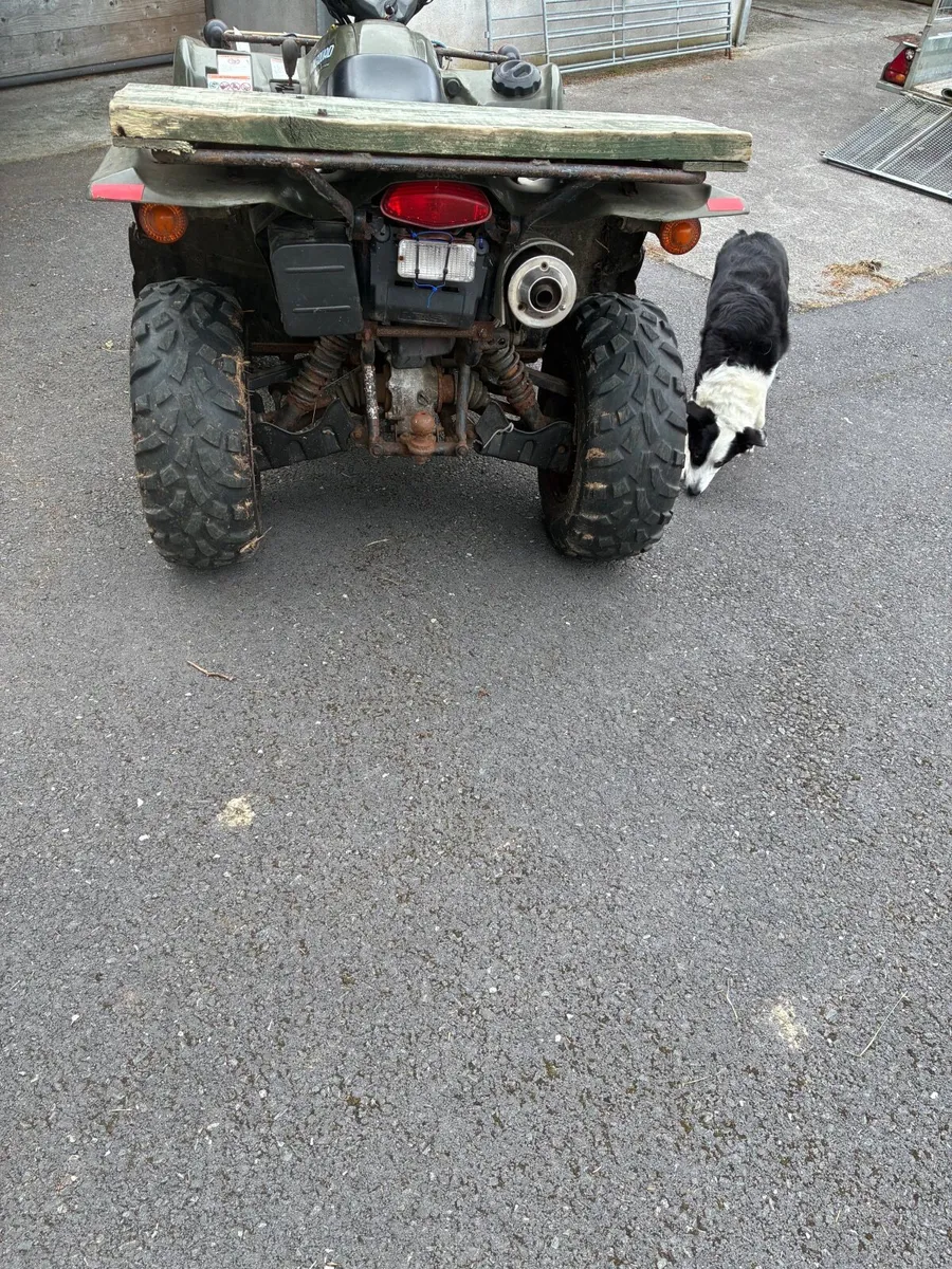 Suzuki king quad 450cc - Image 4