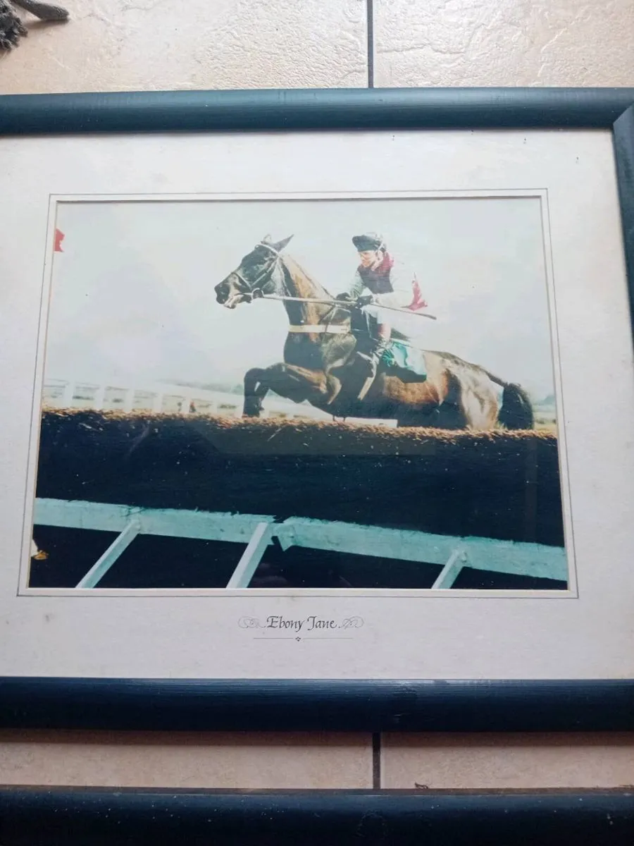 COLLECTABLES - Image 1
