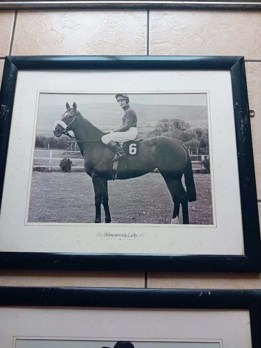 COLLECTABLES - Image 4