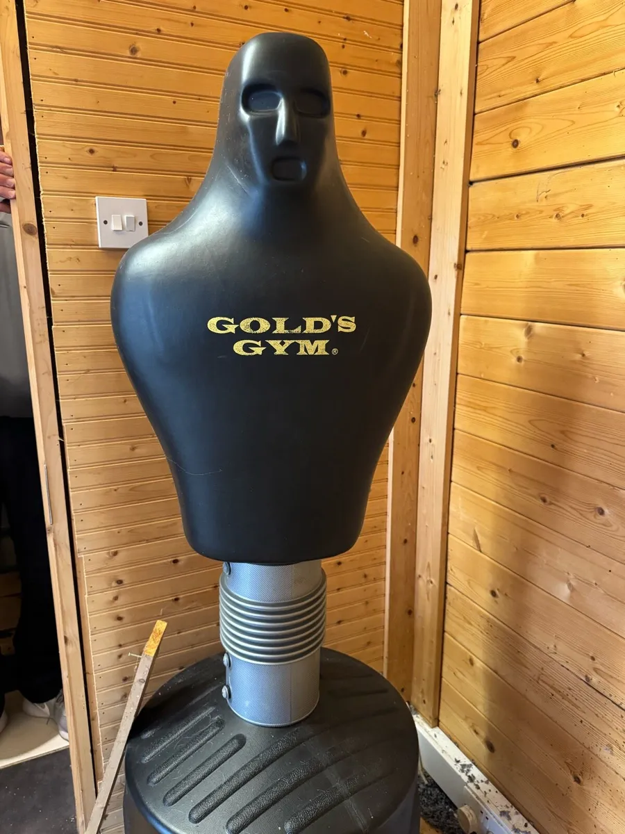 Gold’s Gym punching bag