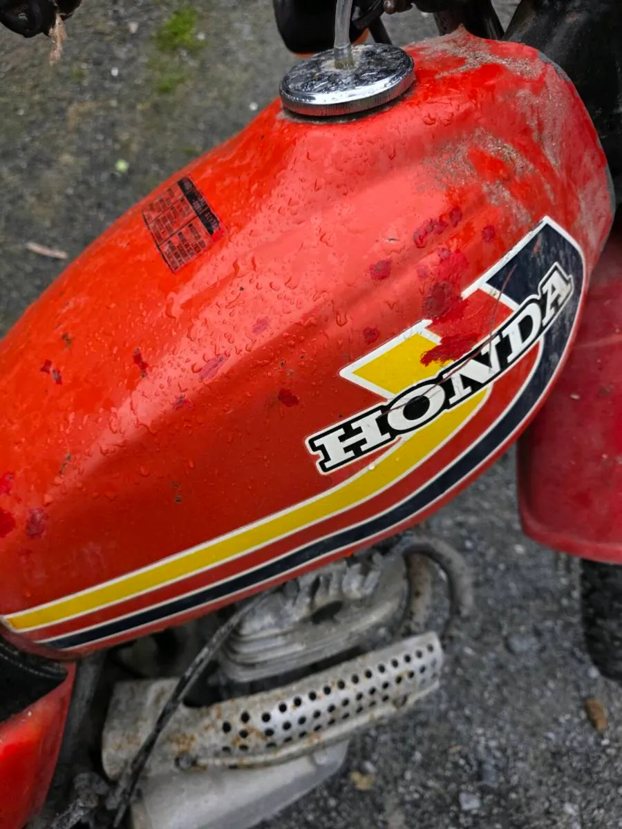 Honda xl250s - Image 2