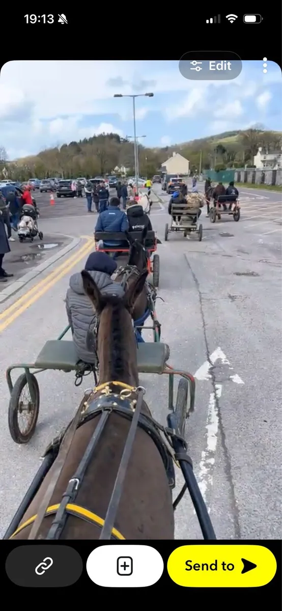 Driving Donkey 13.1 - Image 3