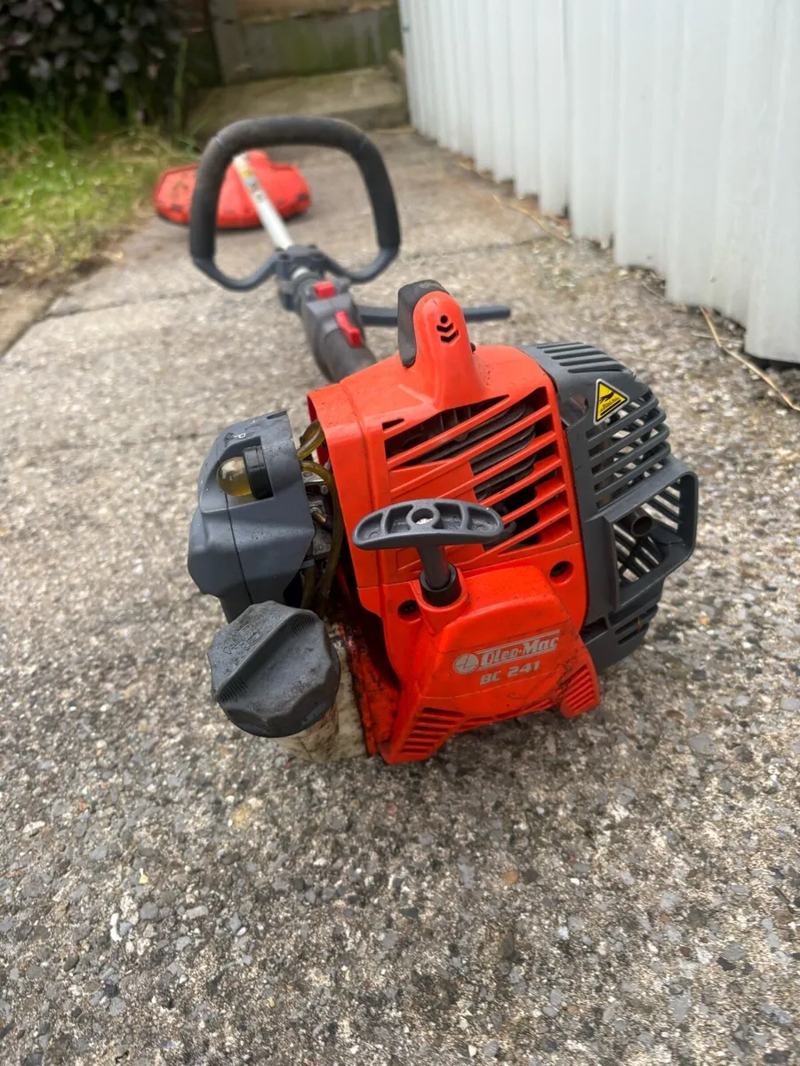Strimmer - Image 3