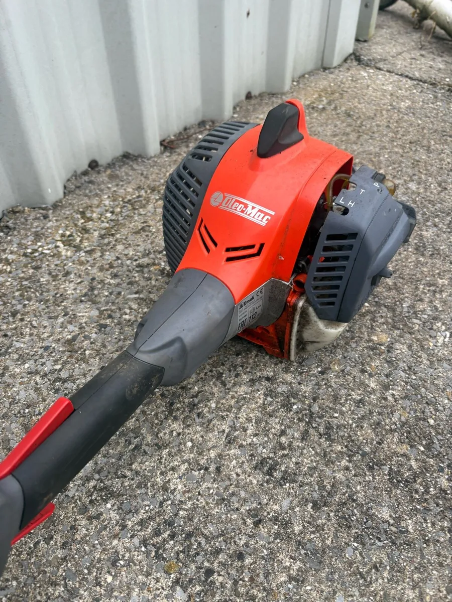 Strimmer - Image 1