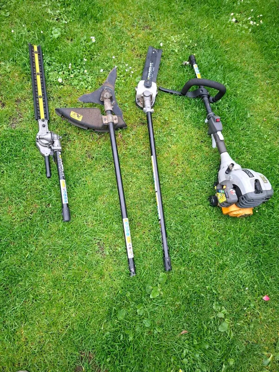 Ryobi pole saw - Image 1
