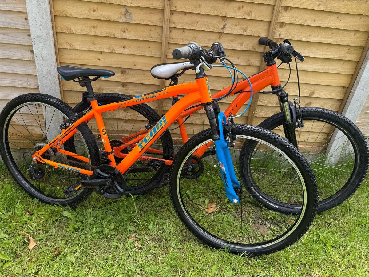Both bikes in perfect condition - Image 1