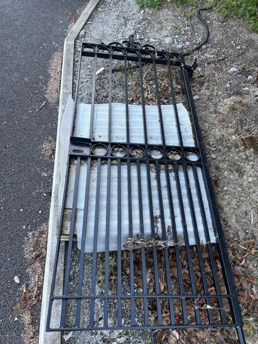 Side Gate - Image 1
