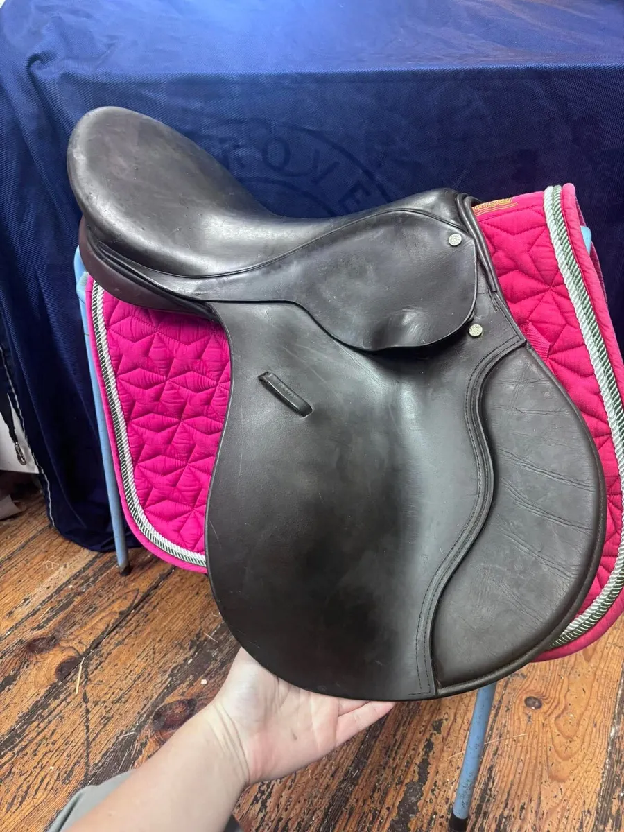 Saddle - Image 1