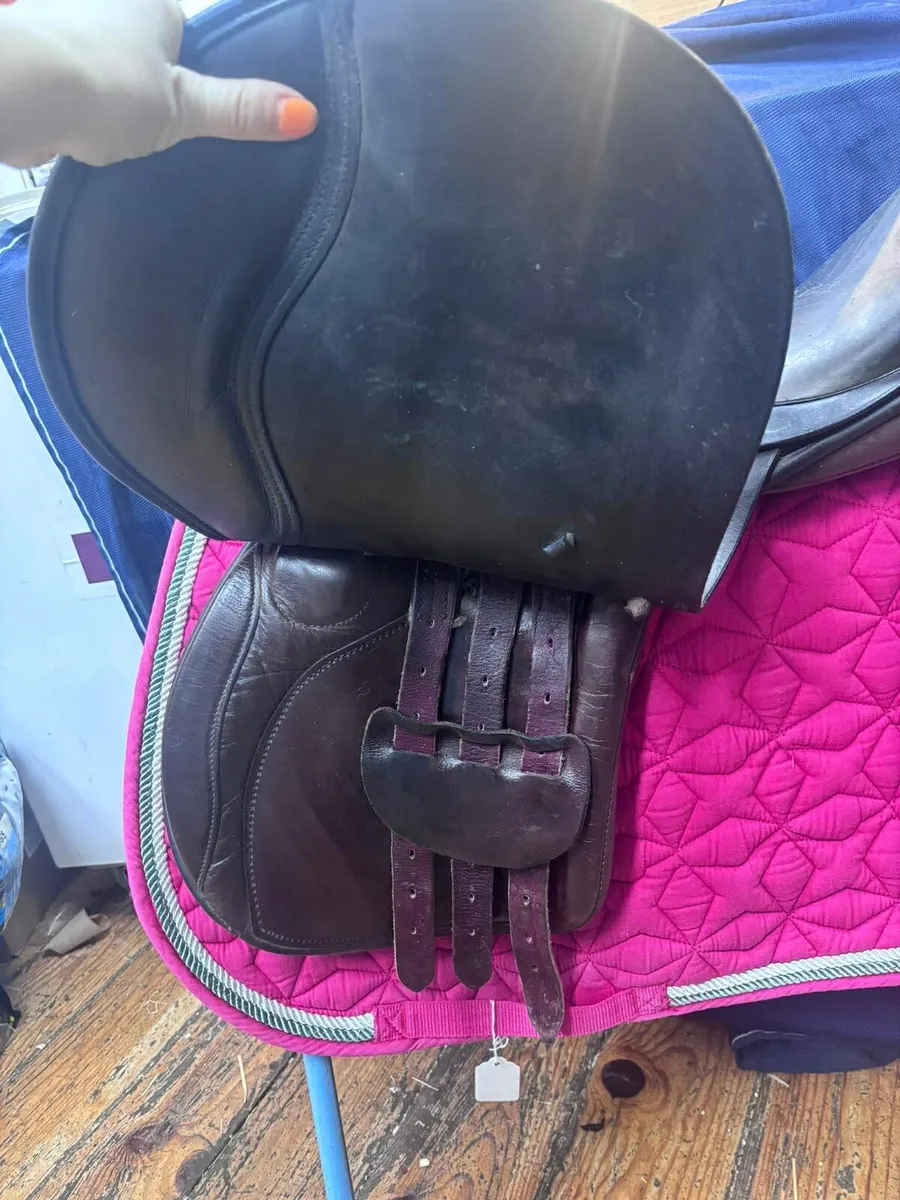Saddle - Image 2