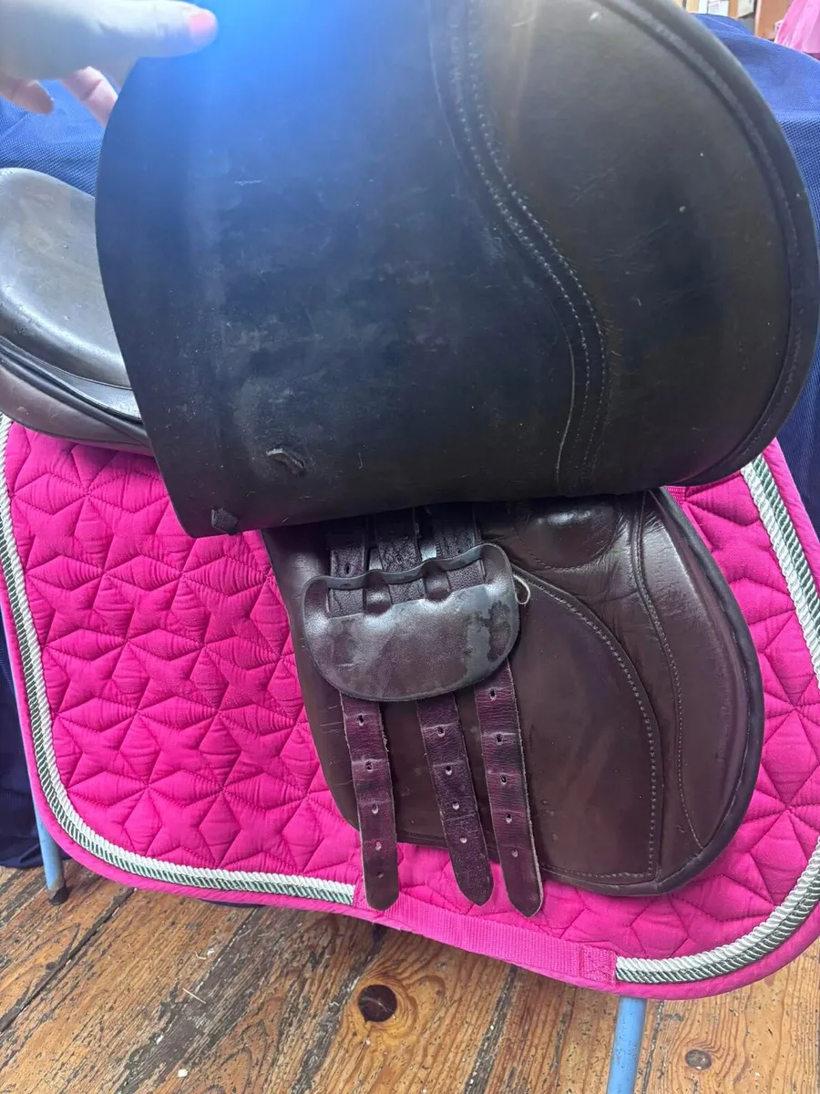 Saddle - Image 3