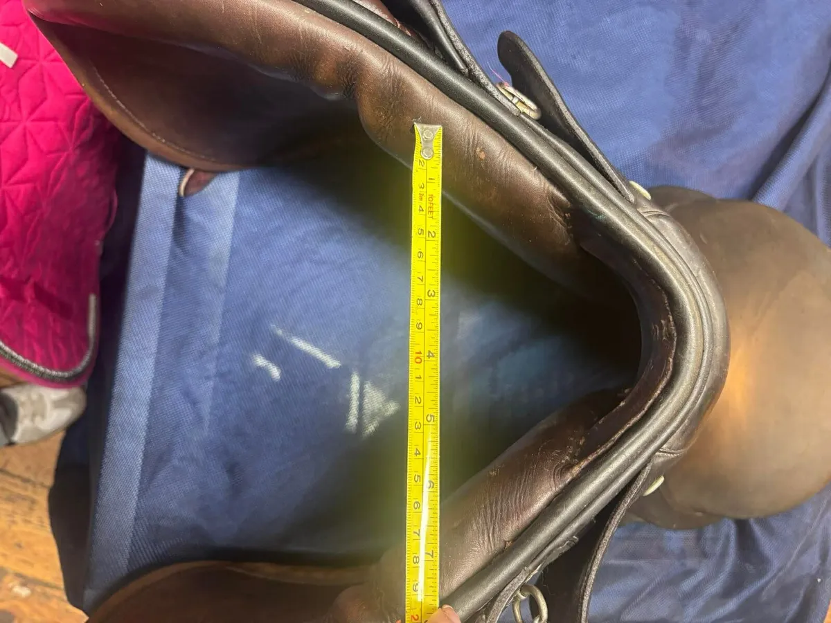 Saddle - Image 4