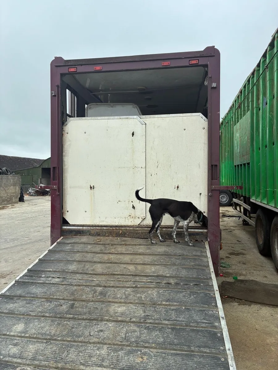 Horse box body - Image 3