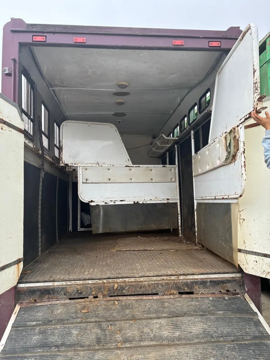 Horse box body - Image 4