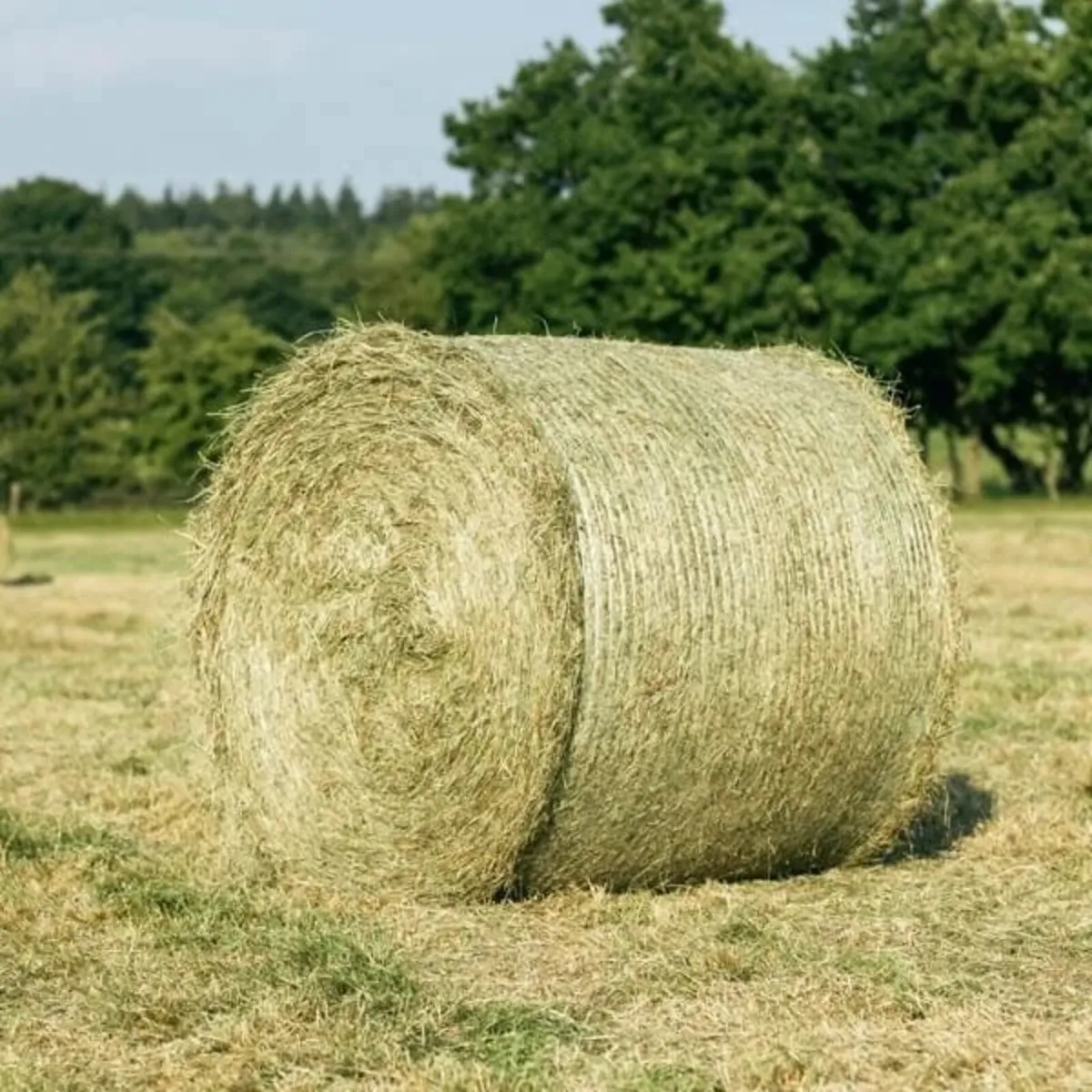 2026 Silage, Haylage, Hay and Straw - Image 2