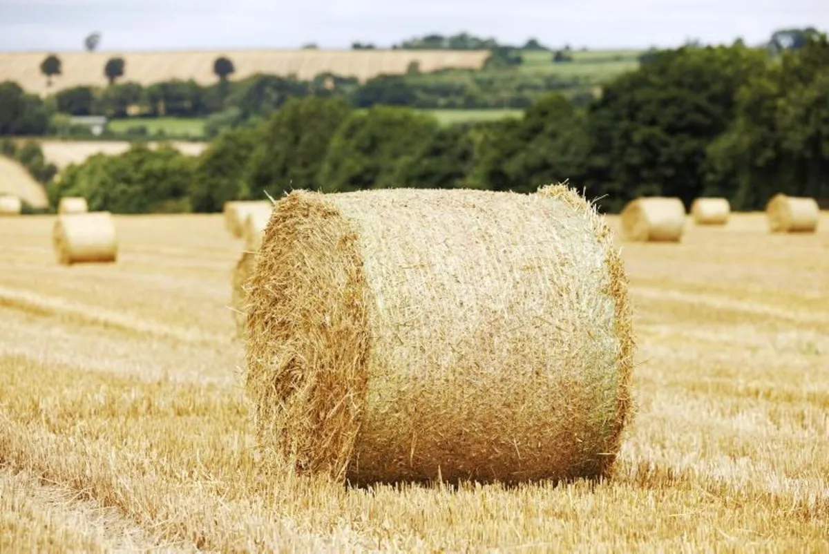 2026 Silage, Haylage, Hay and Straw - Image 3