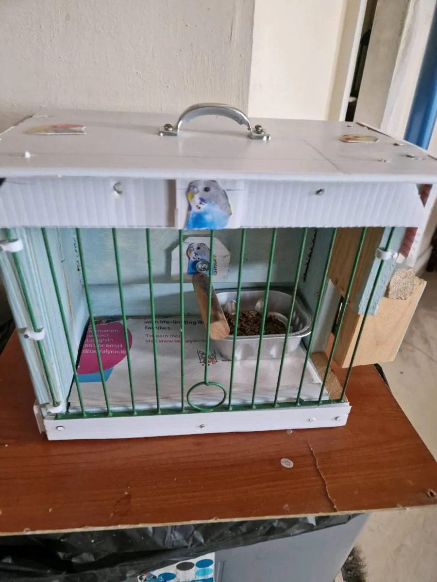 Bird transport cage - Image 1