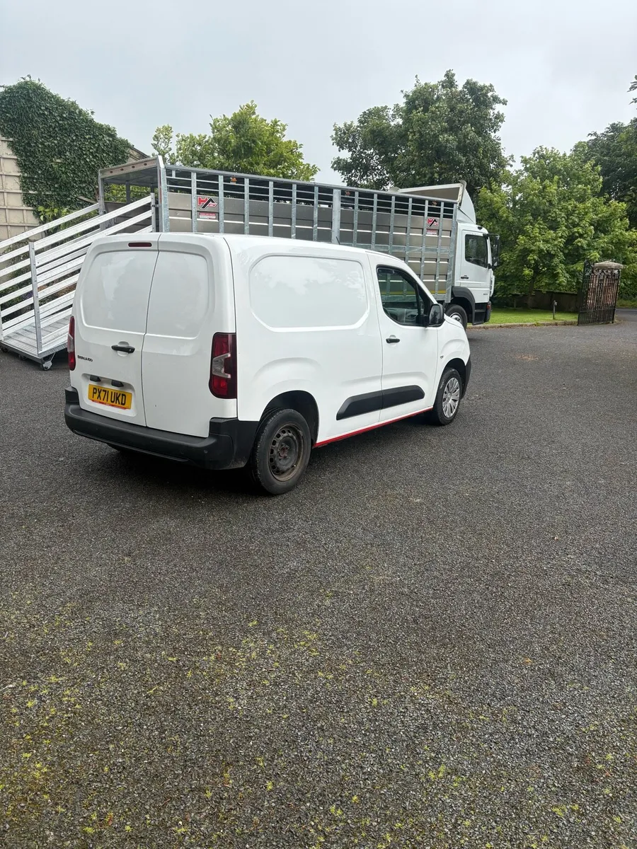 Citreon berlingo - Image 4