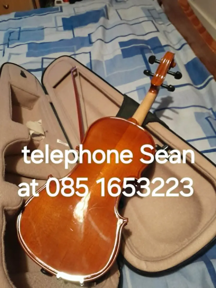 violin - Image 4