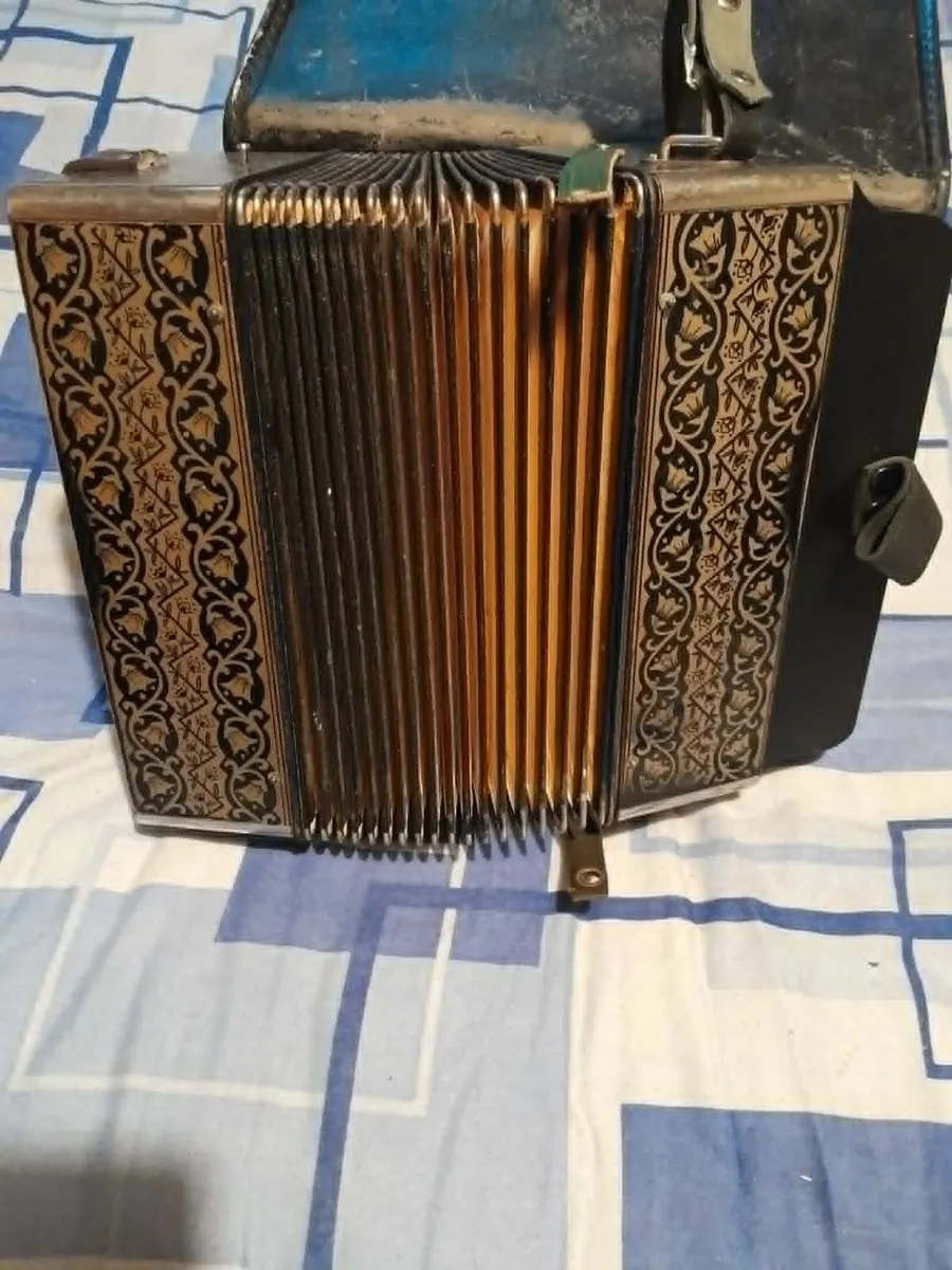 accordion - Image 1