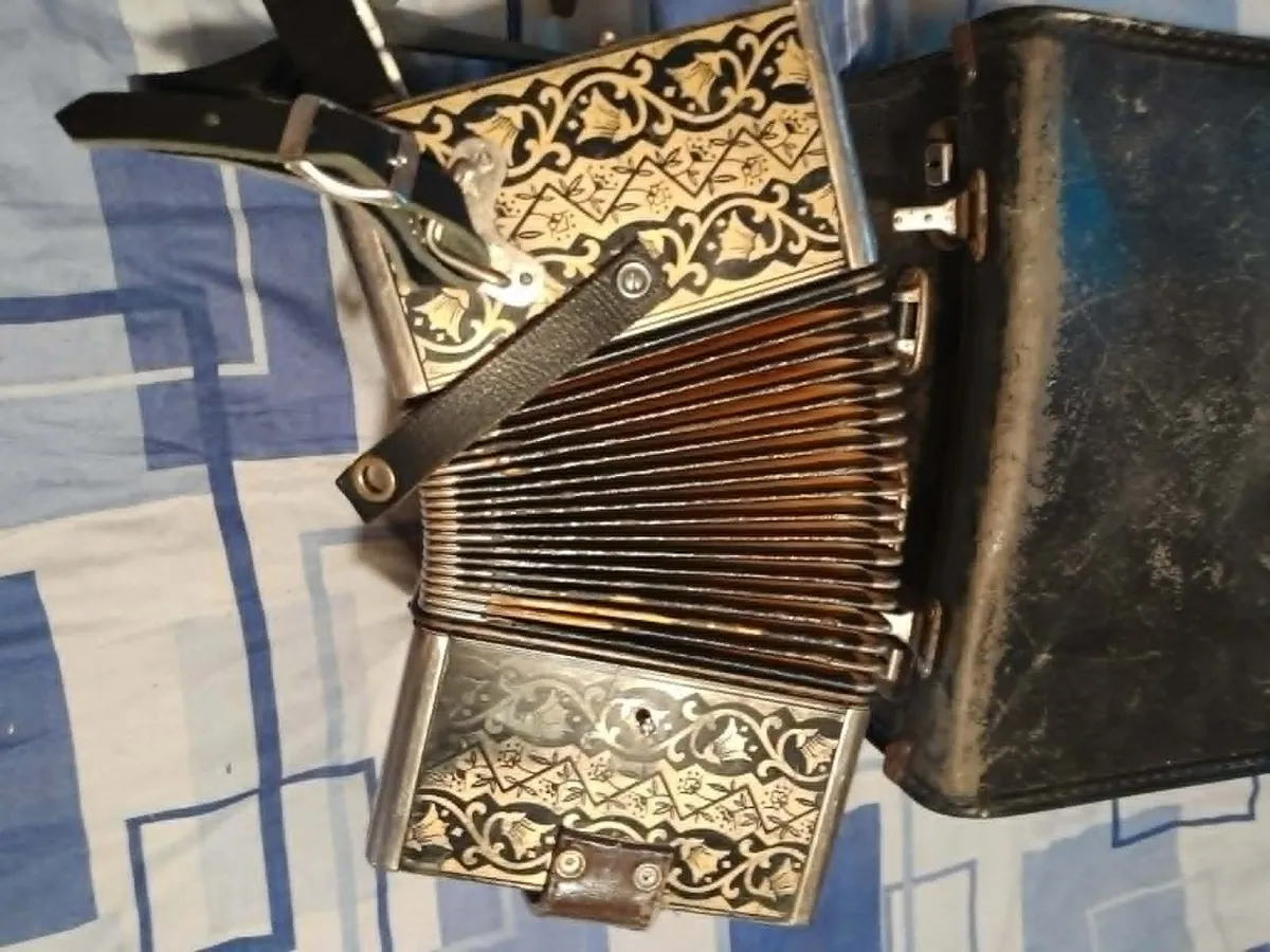 accordion - Image 3