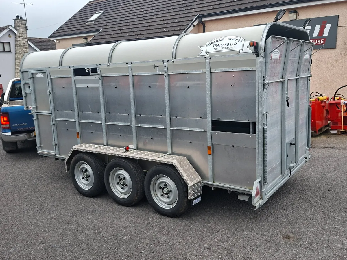 2025 Graham Edwards 14ft trailer - Image 3