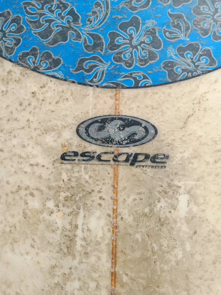 8'6 Escape  Mini Mal Surfboard. - Image 2