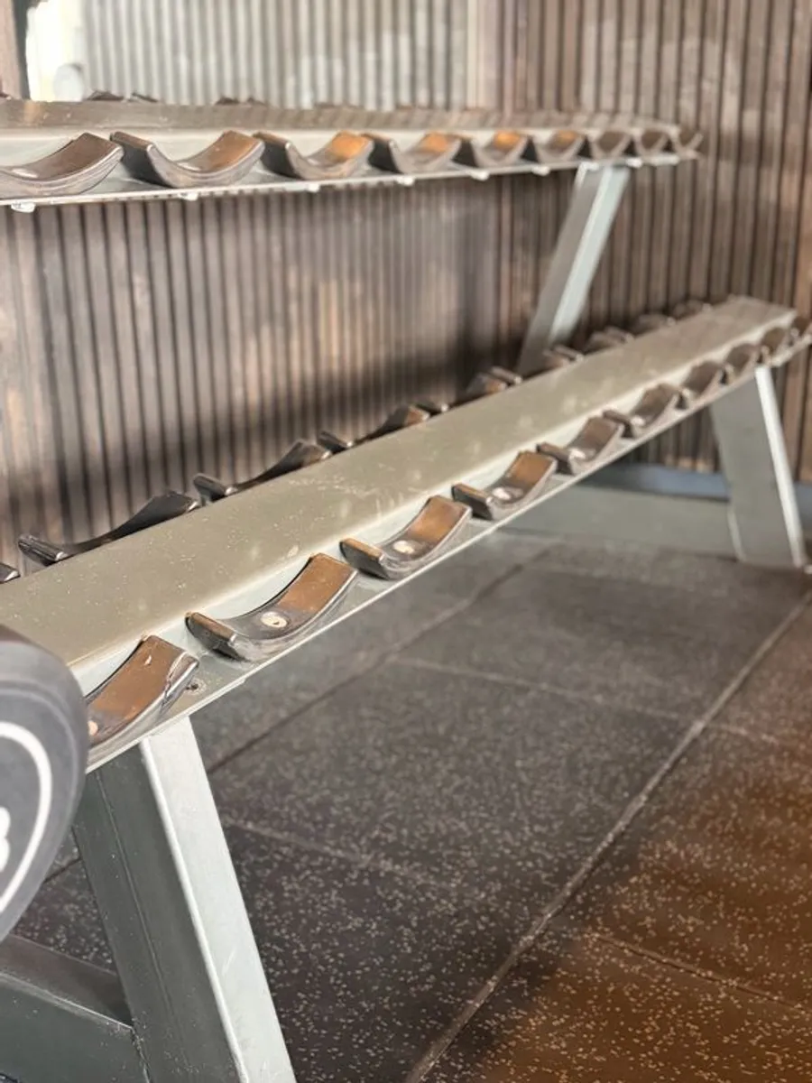 dumbell racks - Image 1