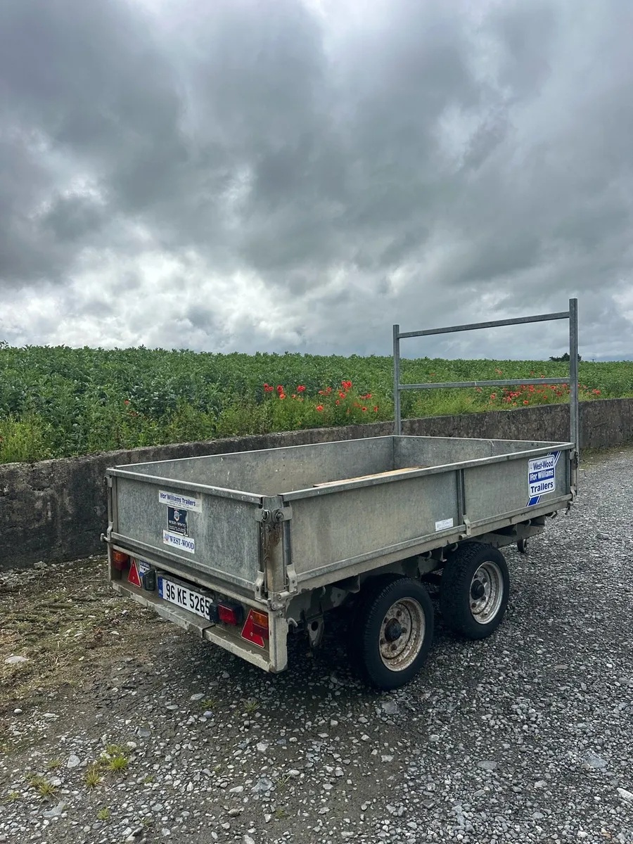 8x5 Ifor Williams trailer - Image 4