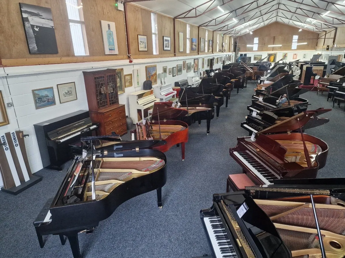 Yamaha and Kawai Grands  Belfast Pianos - Image 2