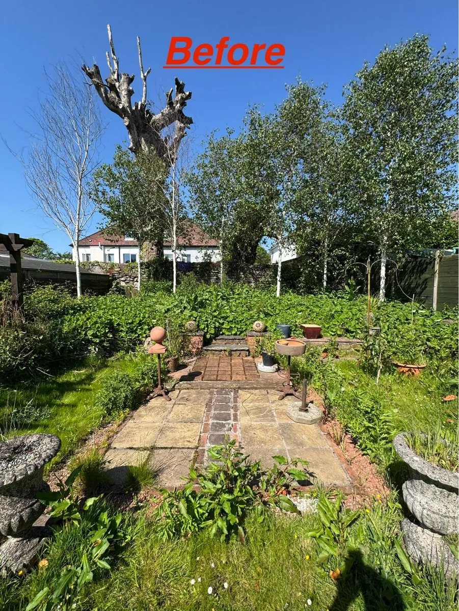 Garden maintenance - Image 3