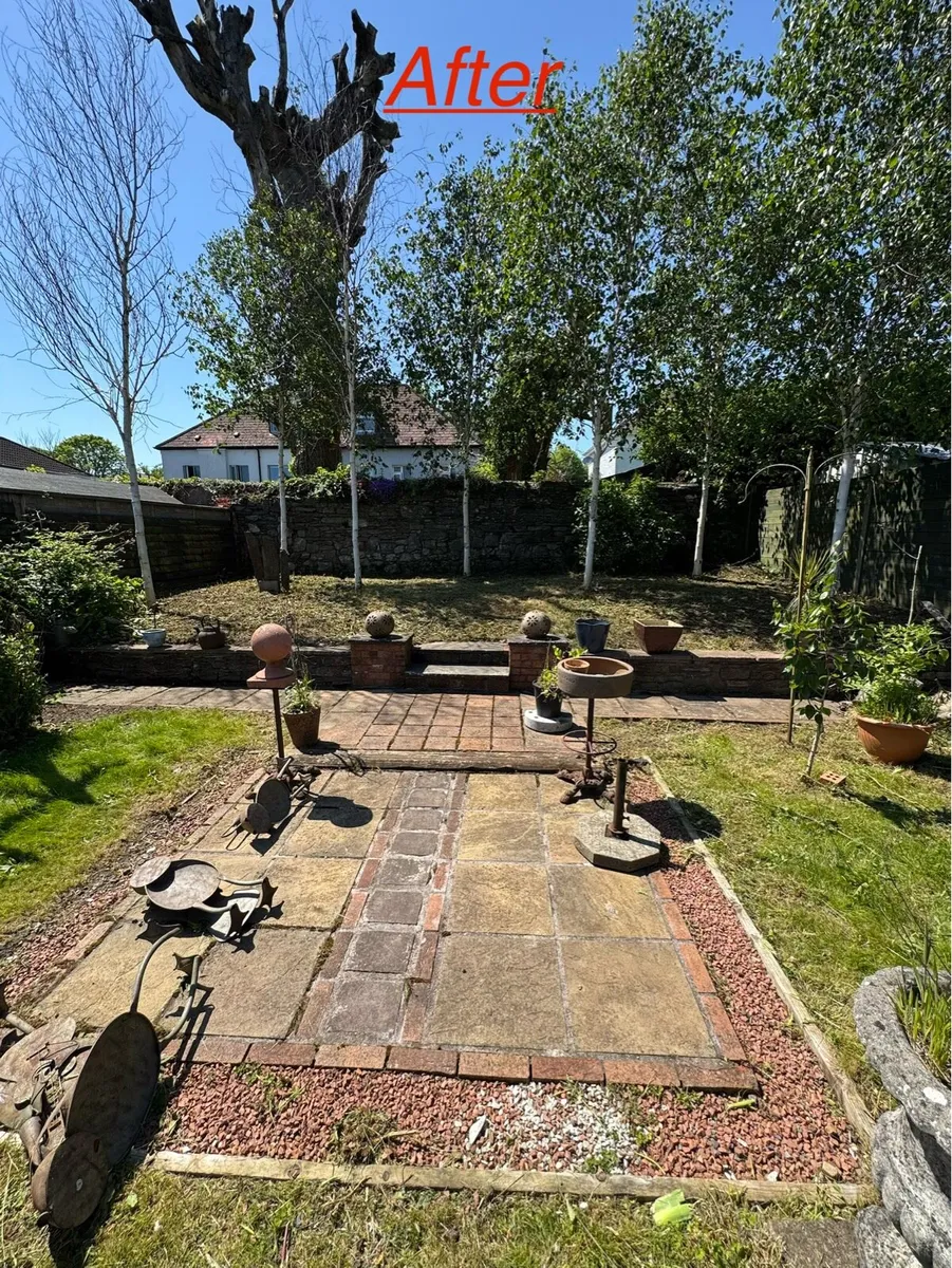 Garden maintenance - Image 4