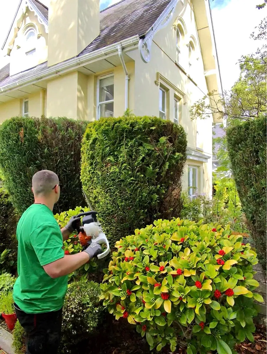 Garden maintenance - Image 1