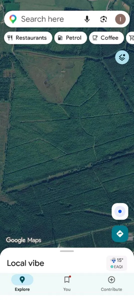 Forrestry - Image 2