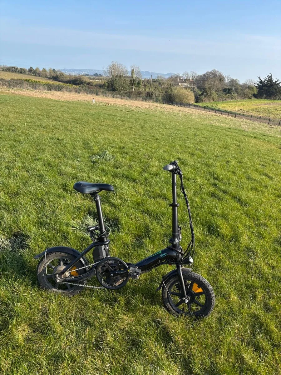 Electric bike Fiido D3 pro - Image 1